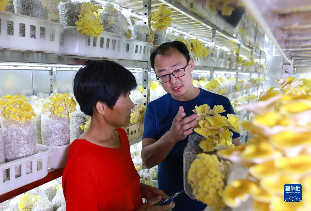 威尼斯赌城线上网投